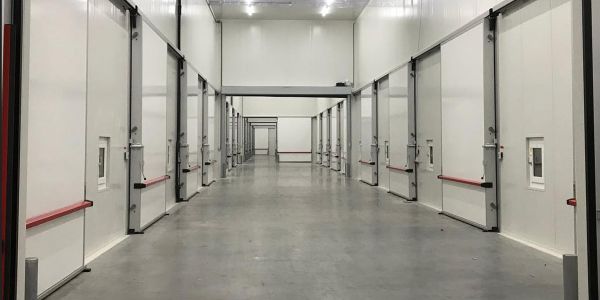 Klaar_de_eerste_peren_kunnen_naar_binnen.